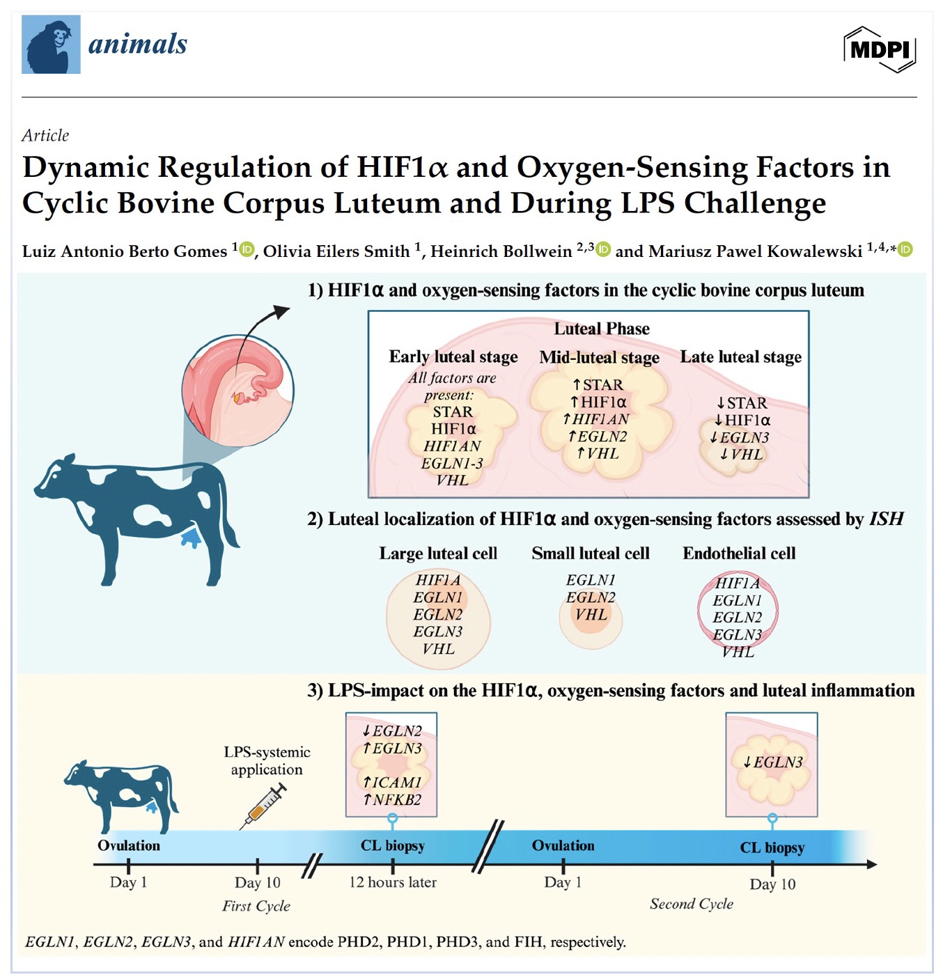 Gomes et al., 2025 