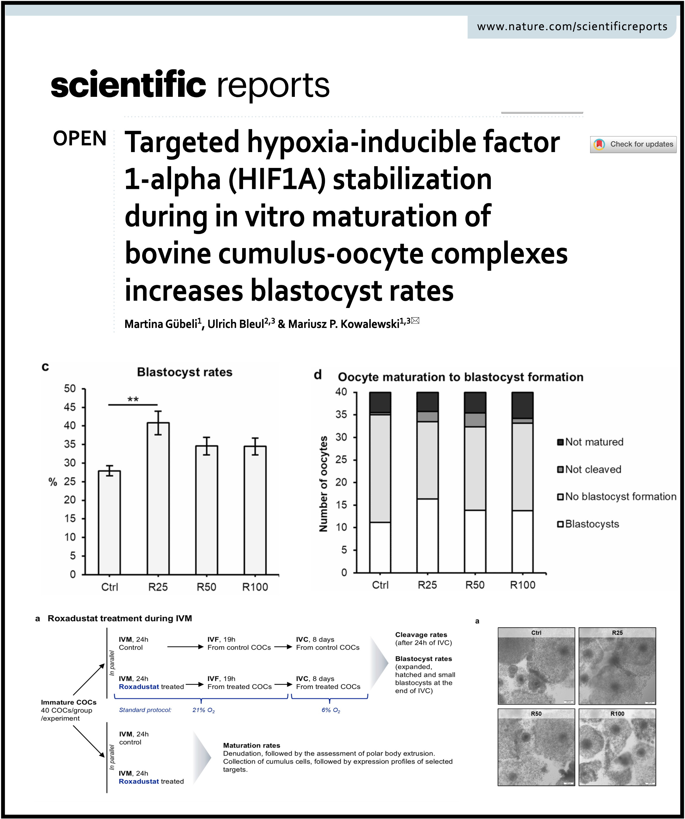 Gübeli et al. Febr. 2026